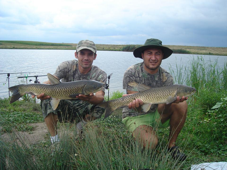 chiroiu 4 - 14707425838900249974201699387119n.jpg